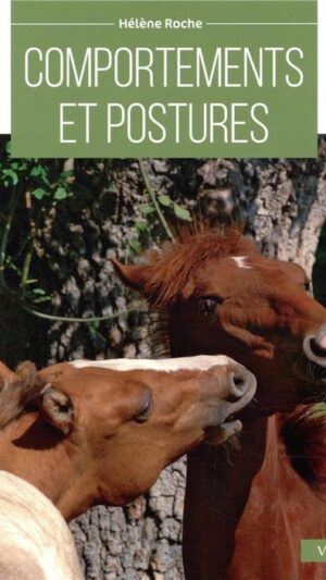 Comportements et postures