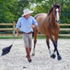 Horseman Les Essentiels<span> - </span>Paiement en 1 fois