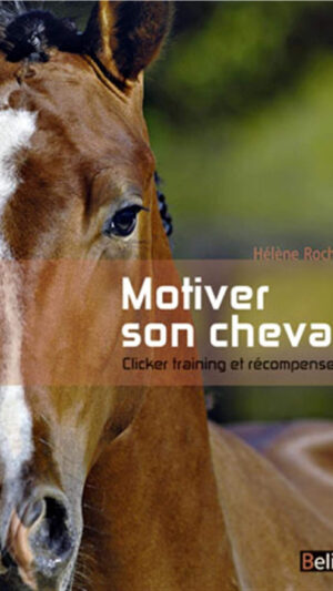 Motiver son cheval