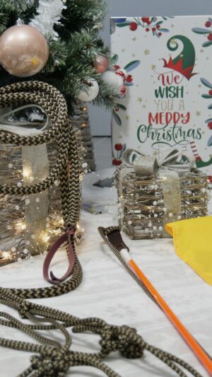 Pack Starter + Module HMS