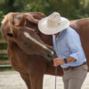 Séminaire Horseman Science - 30 et 31 mai 2026 - Offre Steppers et Clubbers