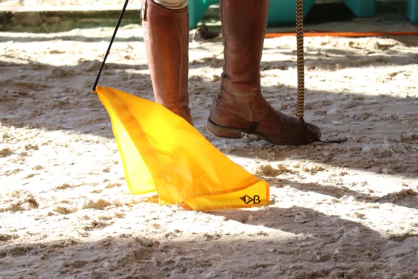 Stick et Drapeau Jaune