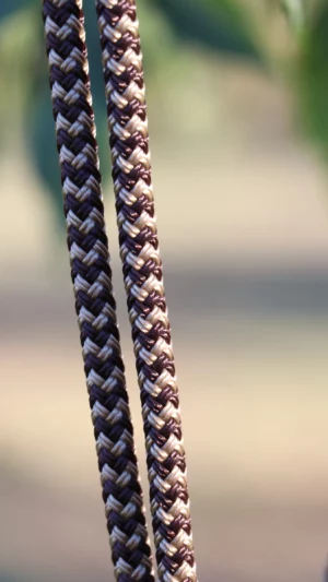Licol en corde – Image 5