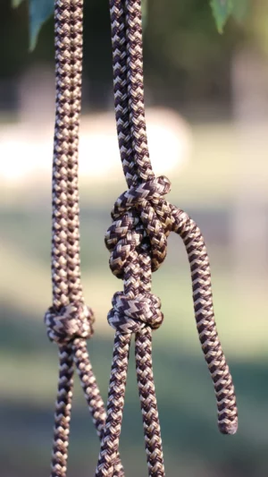 Licol en corde – Image 3