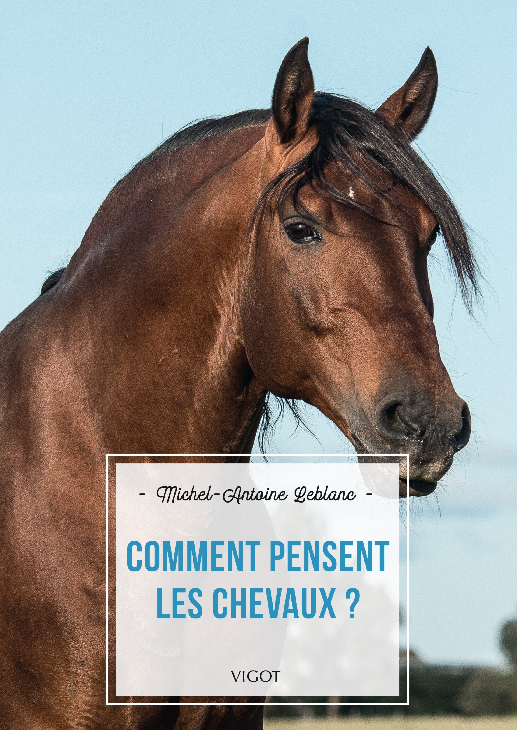 Livre Le Bien-Etre Du Cheval Ed. Vigot