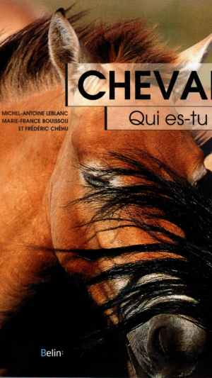 Cheval qui es-tu ?