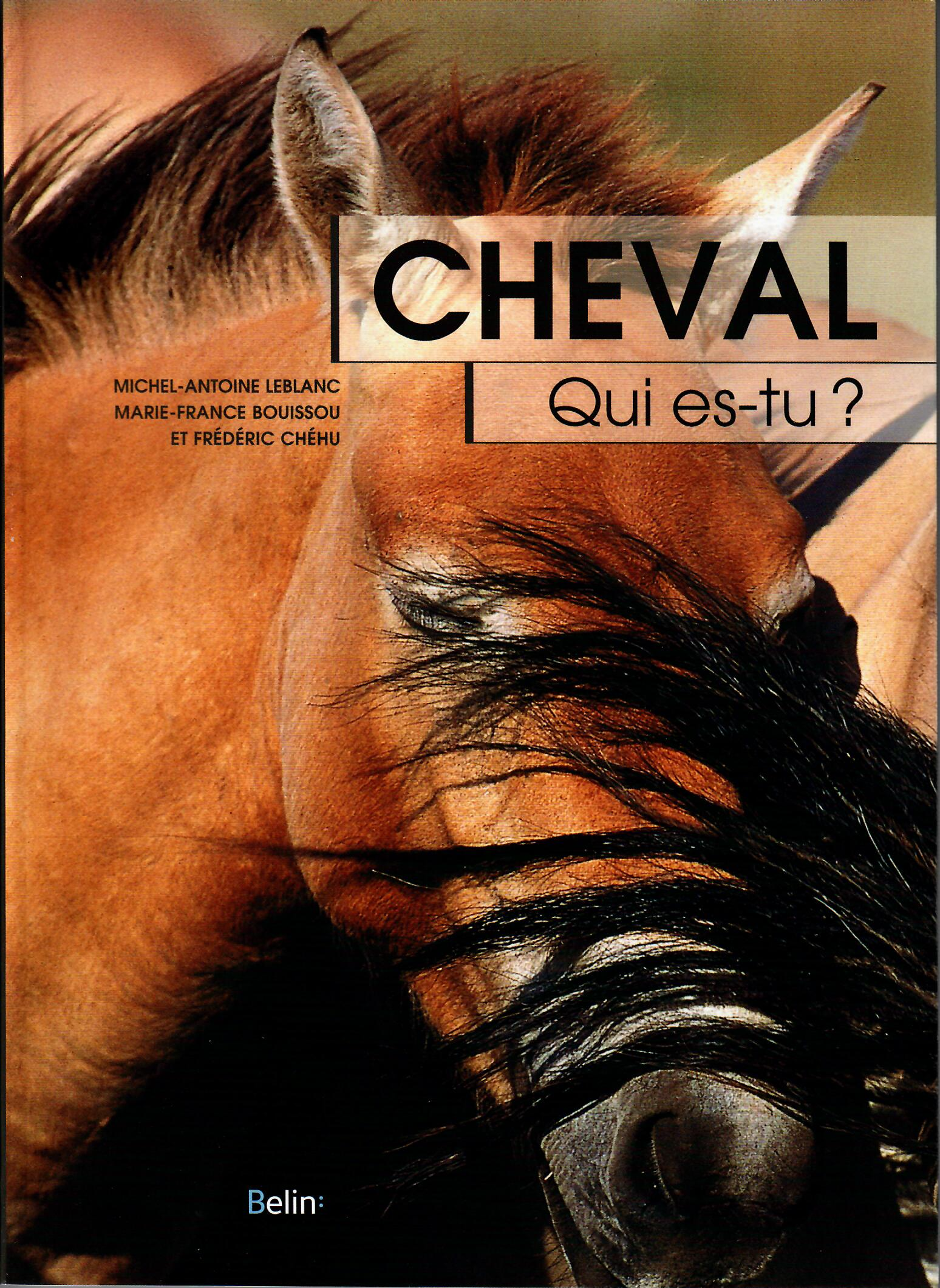 https://www.andybooth.fr/wp-content/uploads/2019/01/cheval-qui-es-tu.png