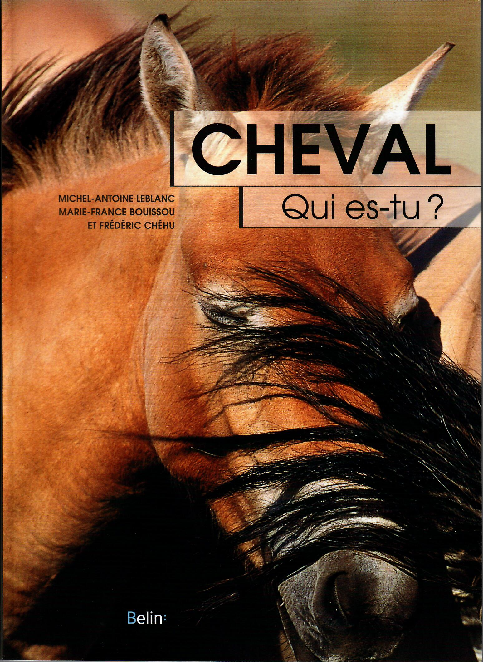 Cheval qui es-tu ? – Andy Booth