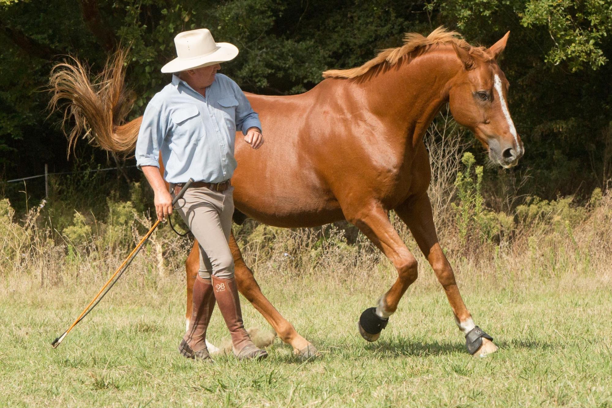 Horseman Les Essentiels