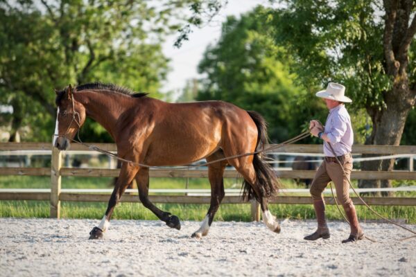 Examen STEP au Domaine de Pinsac sur 1 jour