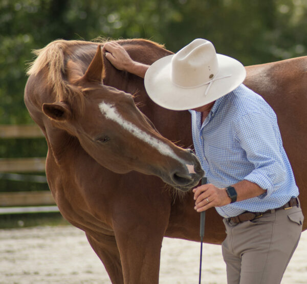HORSEMAN DEBOURRAGE