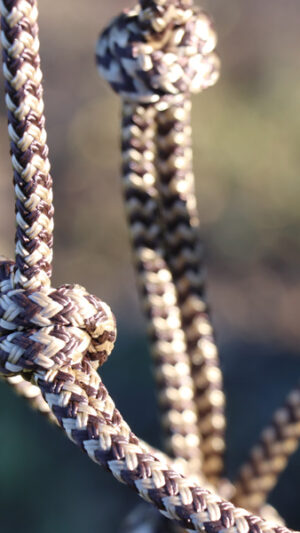 Licol en corde – Image 4