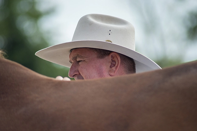 Andy Booth équitation éthologique